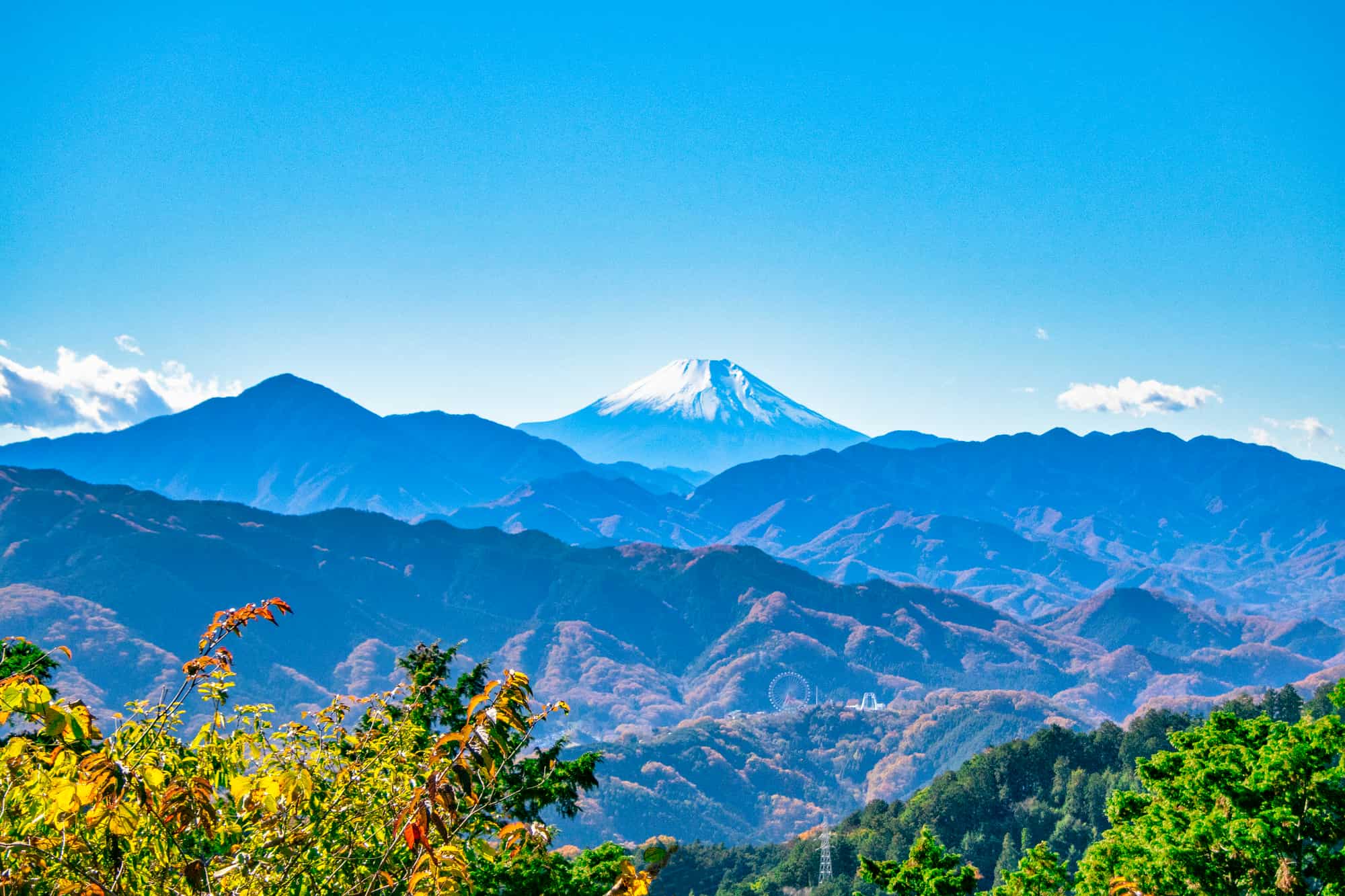 高尾山の参道と緑